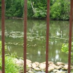 landscape through fence