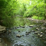 stones river in spring