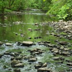 pretty pebbles in stream