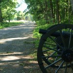 cannon beside road Stones River