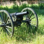 beautiful cannon picture cannon in weeds