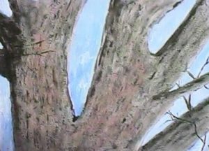 modern impressionism landscapes_oak tree with sky