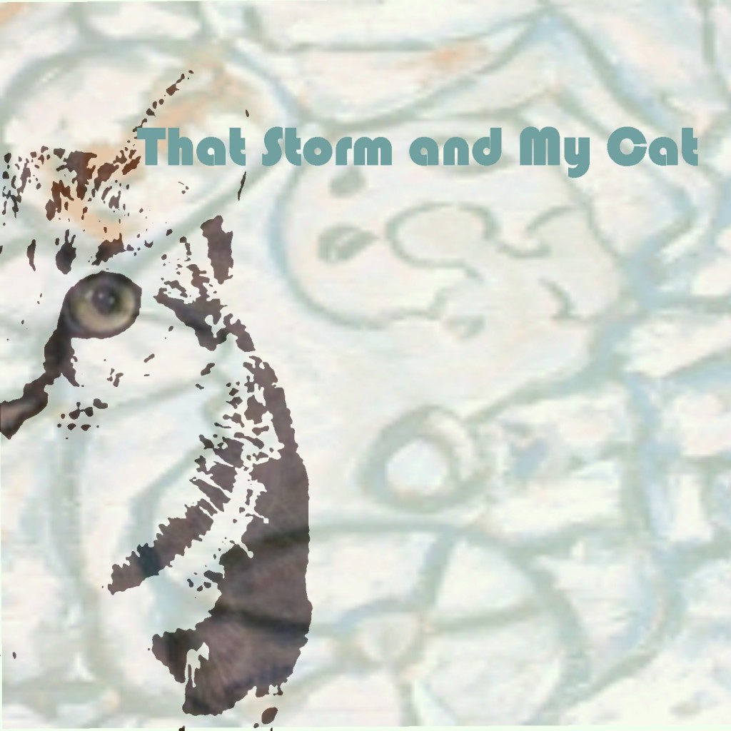 that storm and my cat