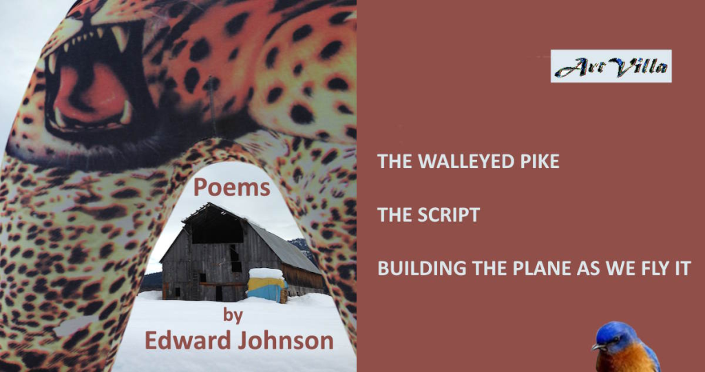 THE-WALLEYED-PIKE-THE-SCRIPT-BUILDING-THE-PLANE-Poems-by-Ed-Johnson